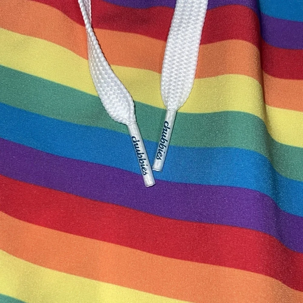 Pride Chubbies The Love Is Loves 2.0 Classic Swim Trunks 5.5